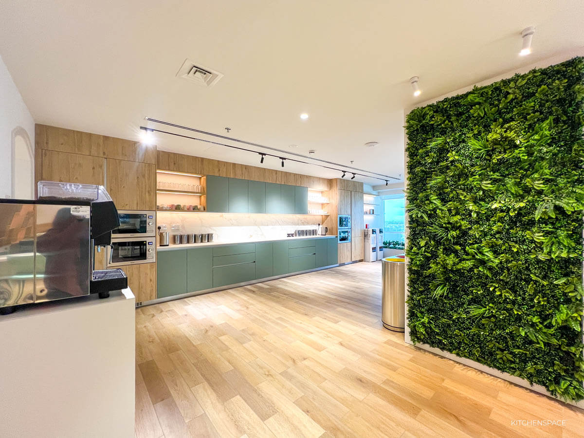 Contemporary Breakout Pantry